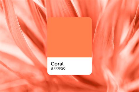 coral color